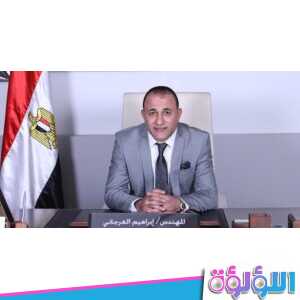 كم ثروة إبراهيم العرجاني ويكيبيديا