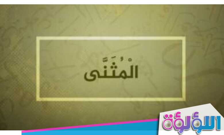 هذان الطالبان اللذان حققا الفوز