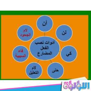 لن انسى الجار اعراب كلمه انسى فعل مضارع منصوب وعلامه نصبه